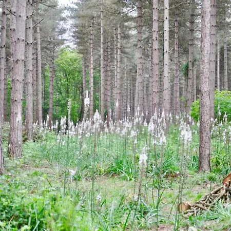 Saint-paul Pool Retreat בית נופש