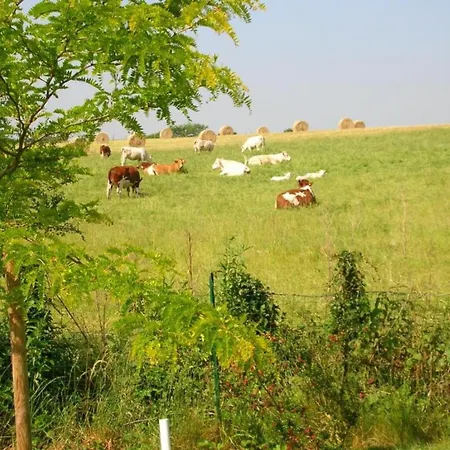 Saint-paul Pool Retreat *