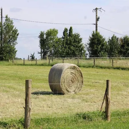 בית נופש Saint-paul Pool Retreat