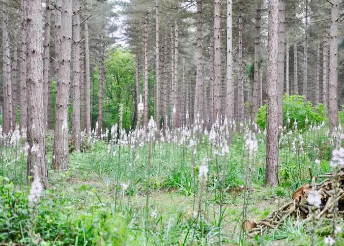 Saint-paul Pool Retreat 度假居