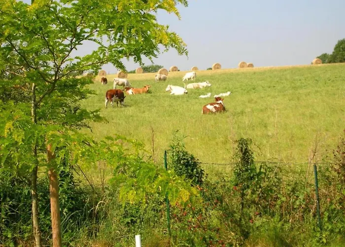 Saint-paul Pool Retreat *