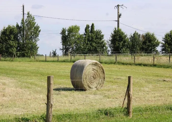 度假居 Saint-paul Pool Retreat