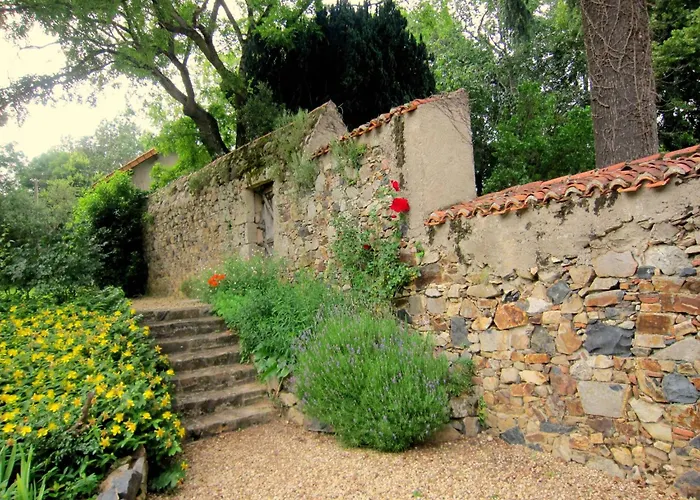 Saint-paul Pool Retreat 度假居 *