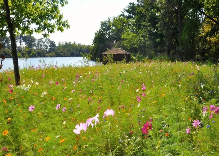 Saint-paul Pool Retreat 度假居